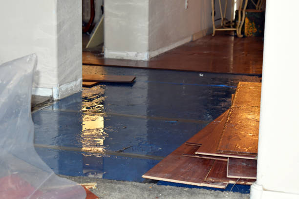 Professional Burst Pipe Cleanup technician working in Grand Saline, TX